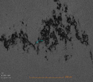 12 news - december .jpg